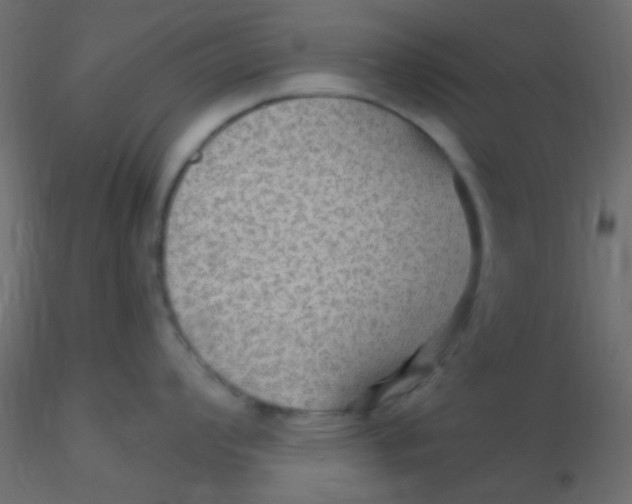 X0000116591008200912312032