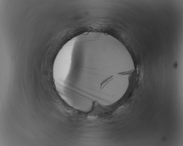 X0000116591009200912312031