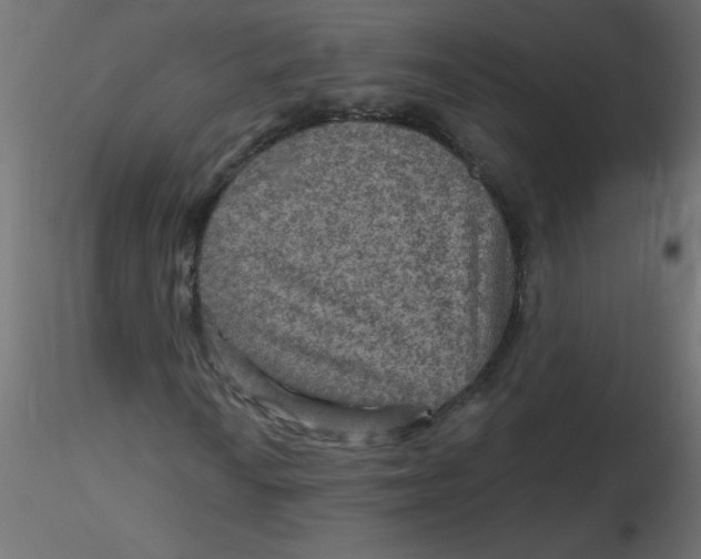 X0000116591010200912312031