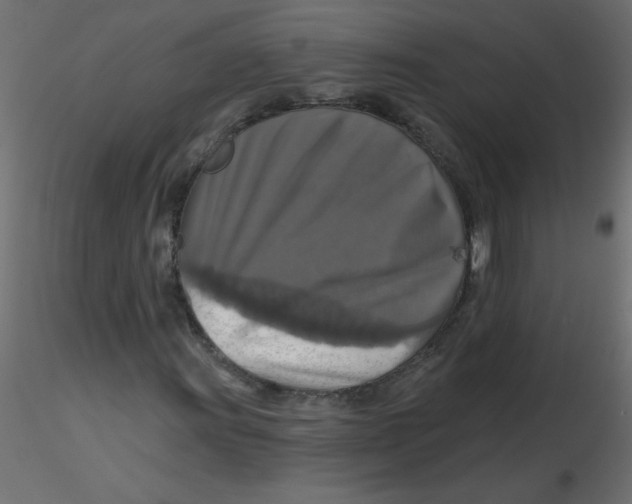 X0000116591011200912312031