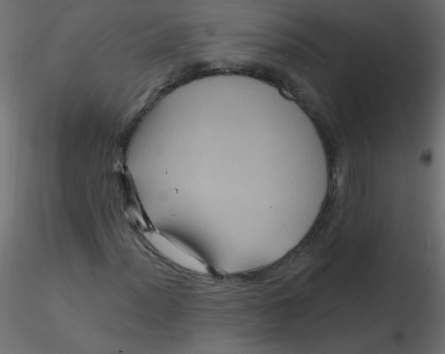 X0000116591012200912312031