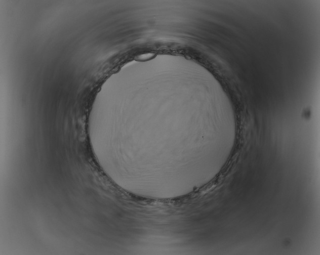 X0000116591013200912312031