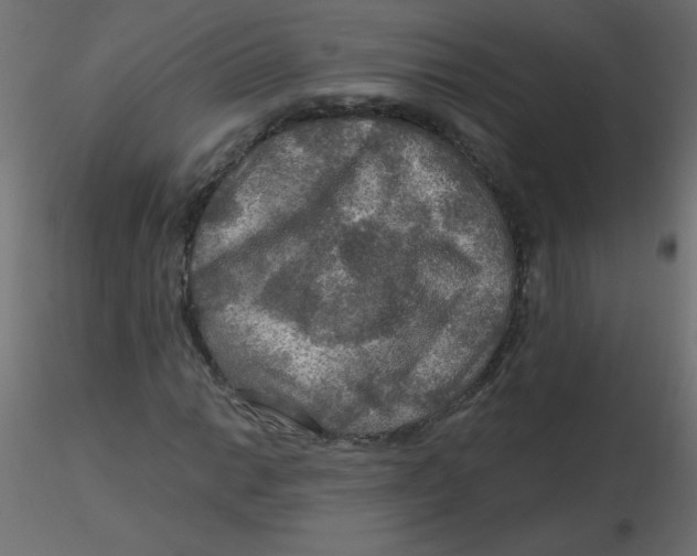 X0000116591014200912312031