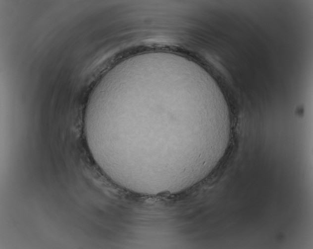 X0000116591015200912312031