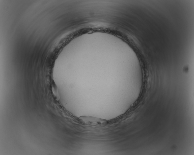 X0000116591016200912312031