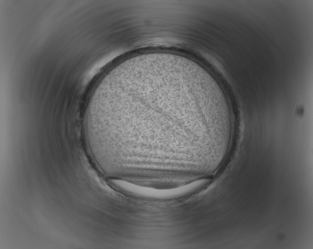 X0000116591018200912312031