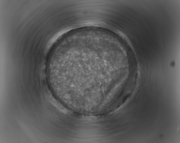 X0000116591019200912312031