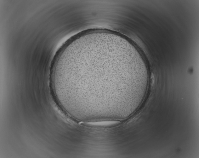 X0000116591020200912312031