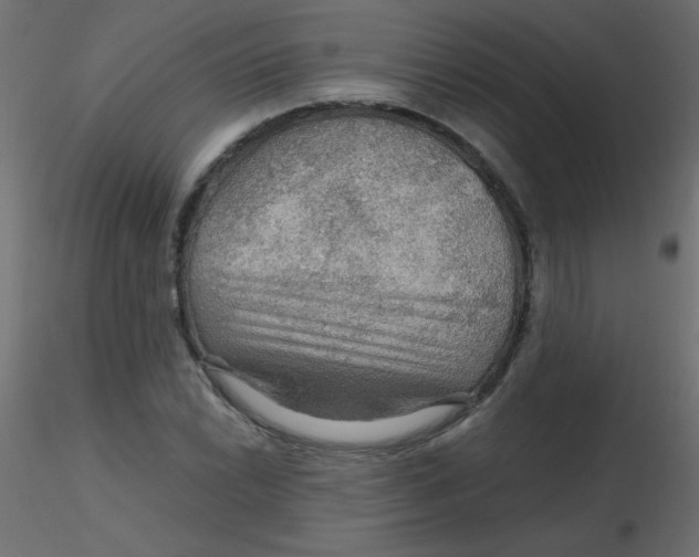 X0000116591022200912312031