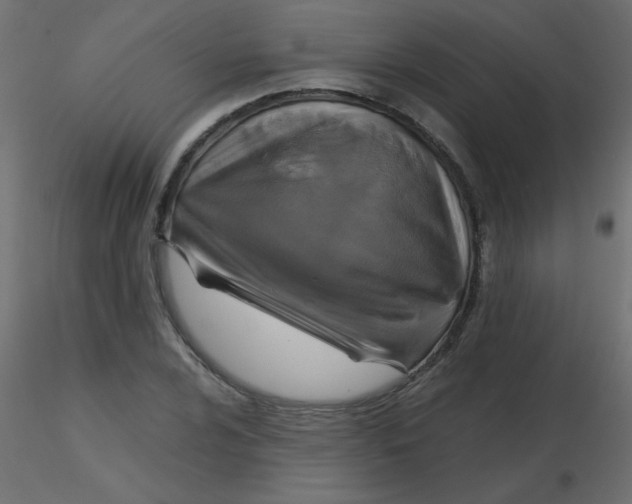 X0000116591024200912312031