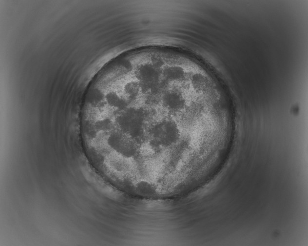 X0000116591025200912312032