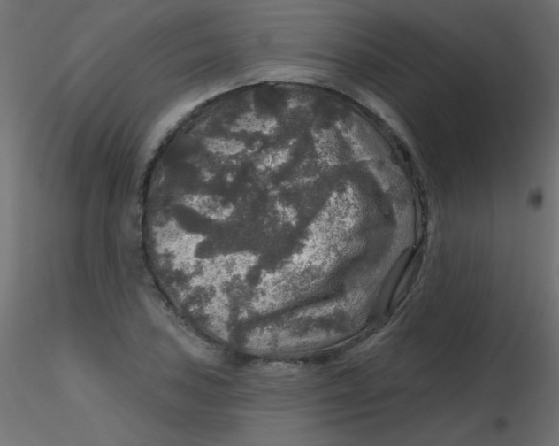 X0000116591027200912312032