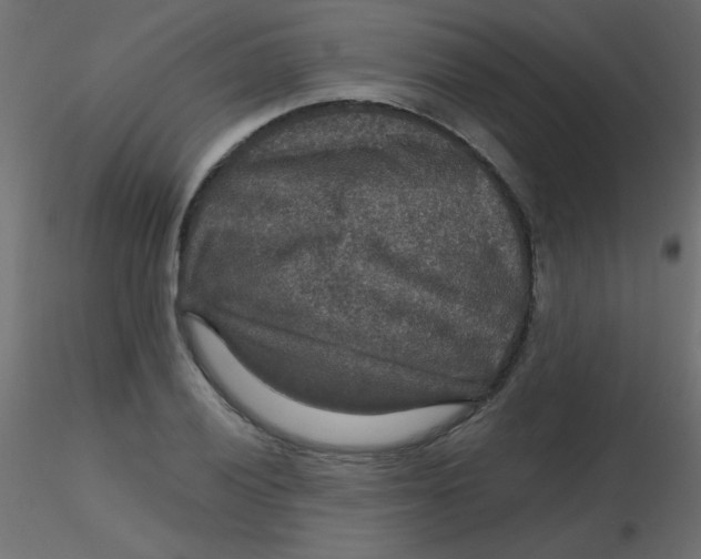 X0000116591028200912312032