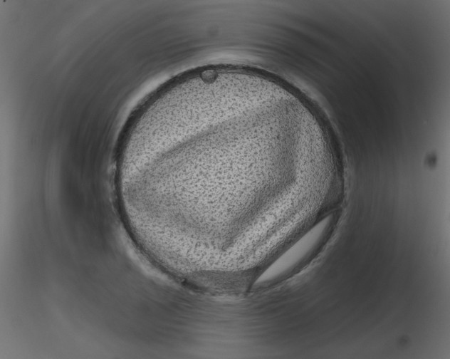 X0000116591029200912312032