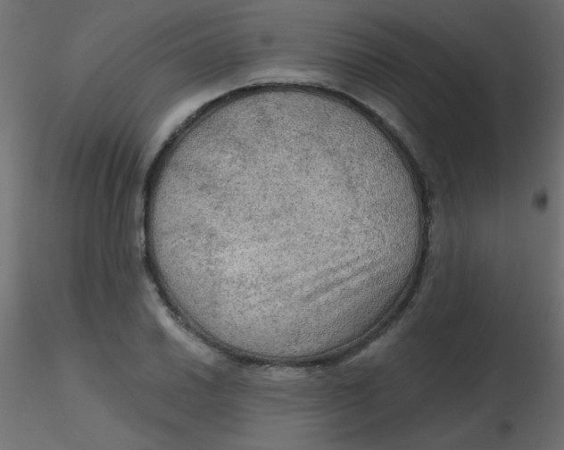 X0000116591030200912312032