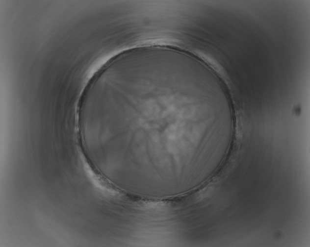 X0000116591031200912312032