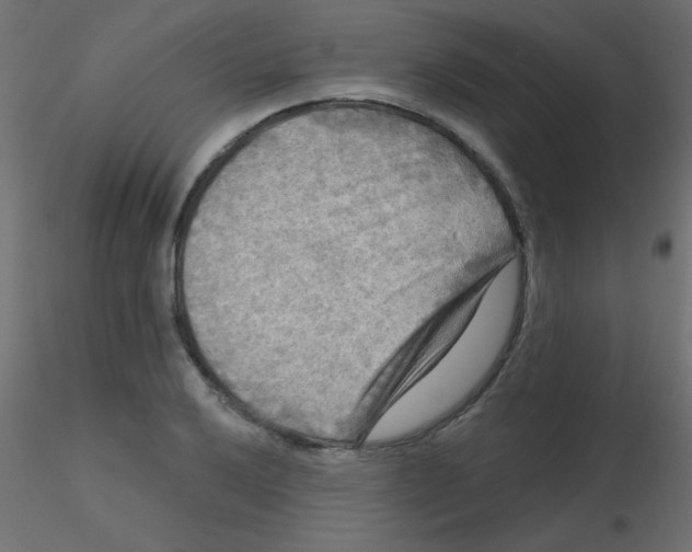 X0000116591032200912312032