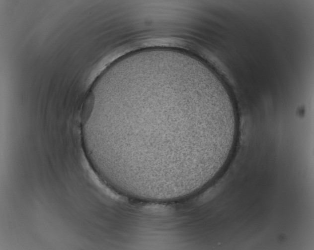 X0000116591033200912312032