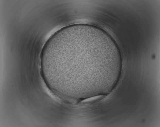 X0000116591034200912312032