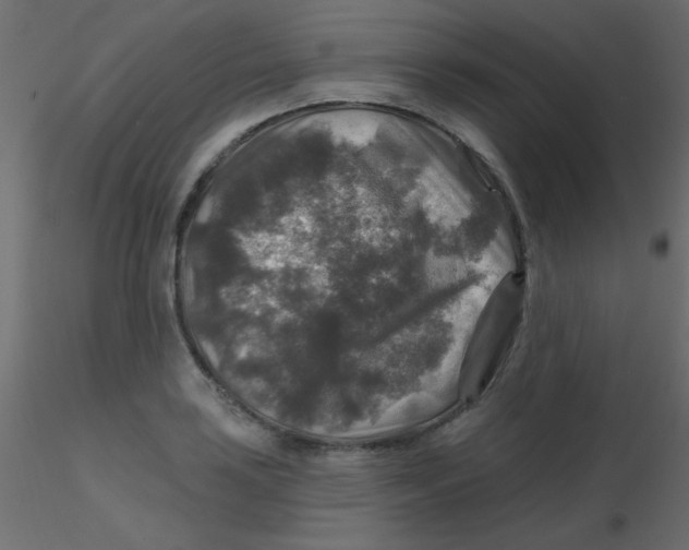 X0000116591035200912312032