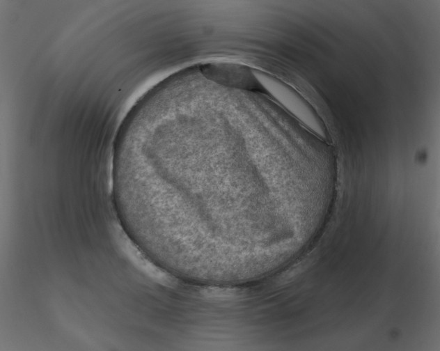 X0000116591036200912312032