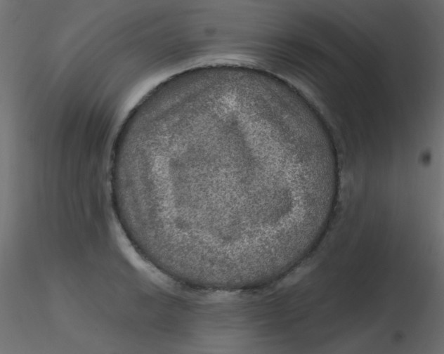 X0000116591038200912312032