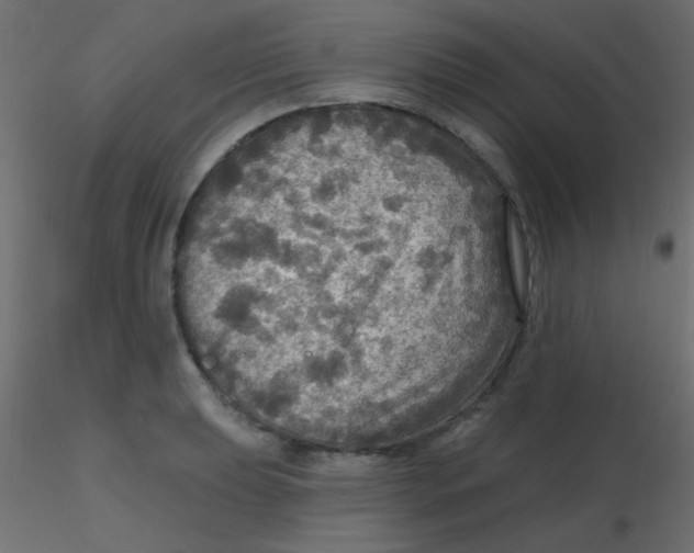 X0000116591039200912312032