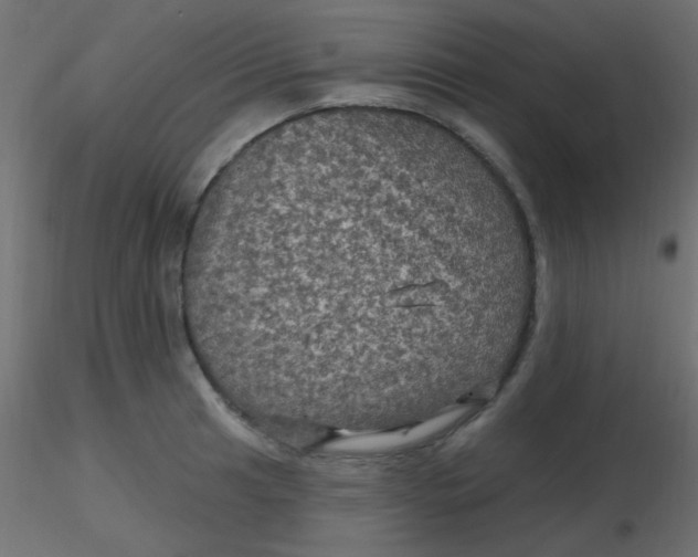 X0000116591041200912312032