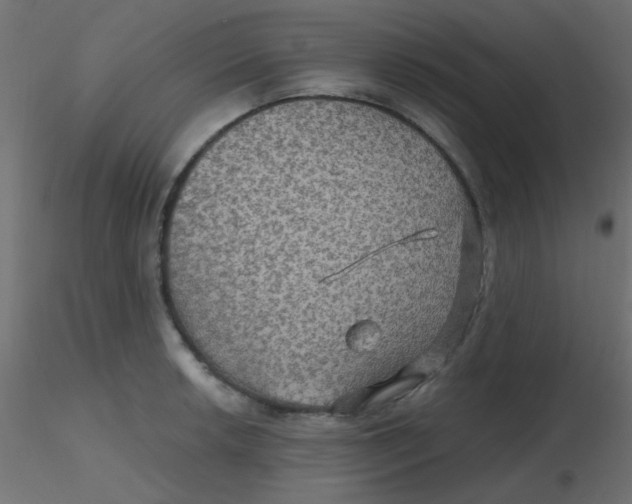 X0000116591042200912312032