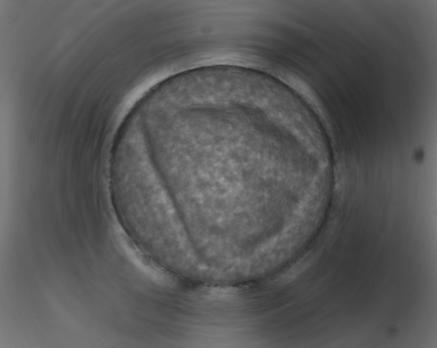 X0000116591043200912312032