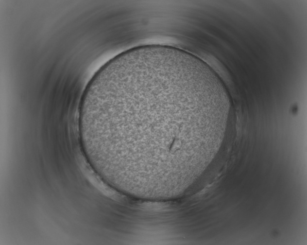 X0000116591044200912312032