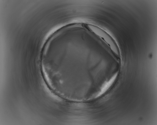 X0000116591045200912312032