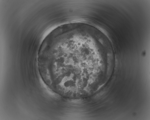 X0000116591047200912312032