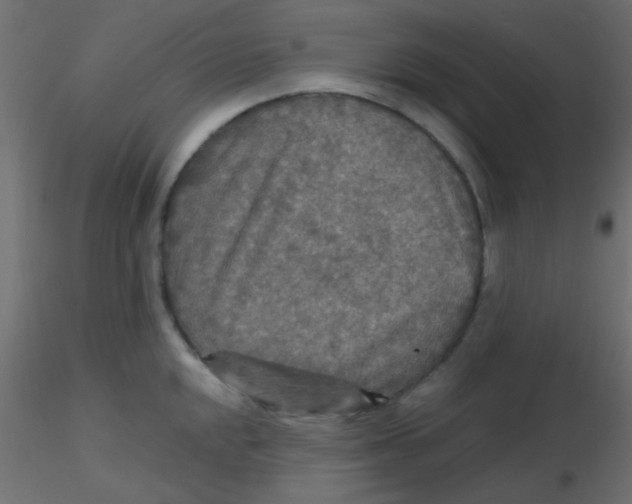 X0000116591048200912312032