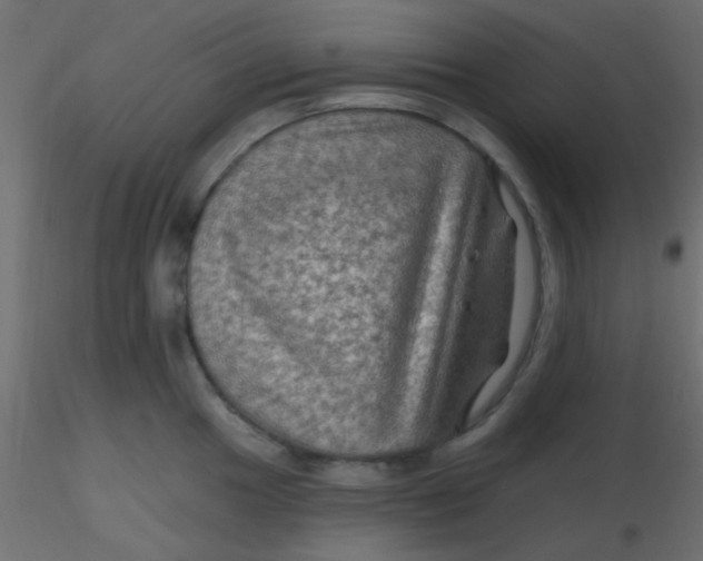 X0000116591049200912312032