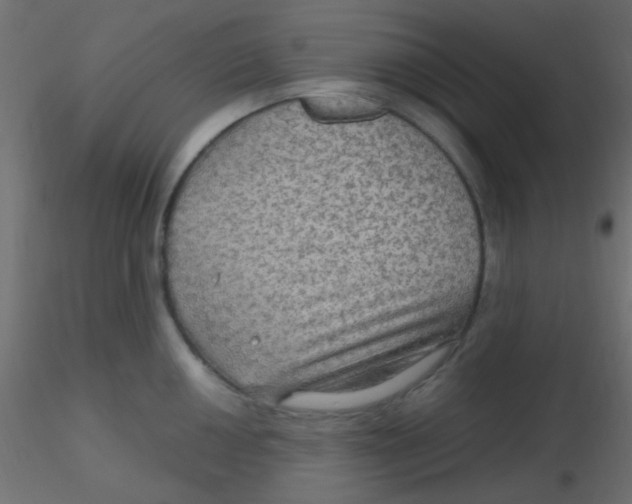 X0000116591050200912312032