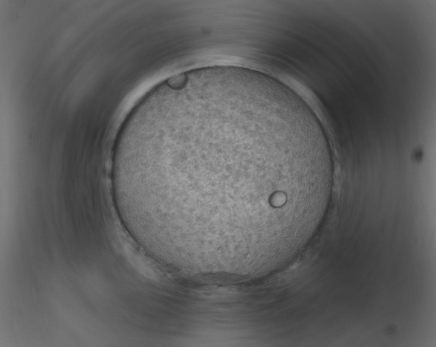 X0000116591051200912312032