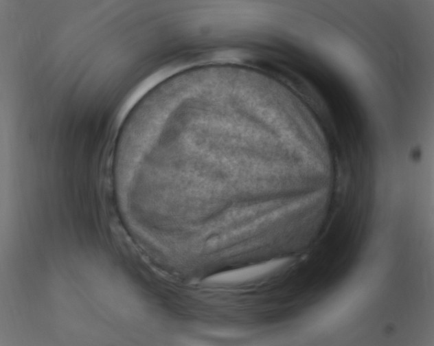 X0000116591052200912312032