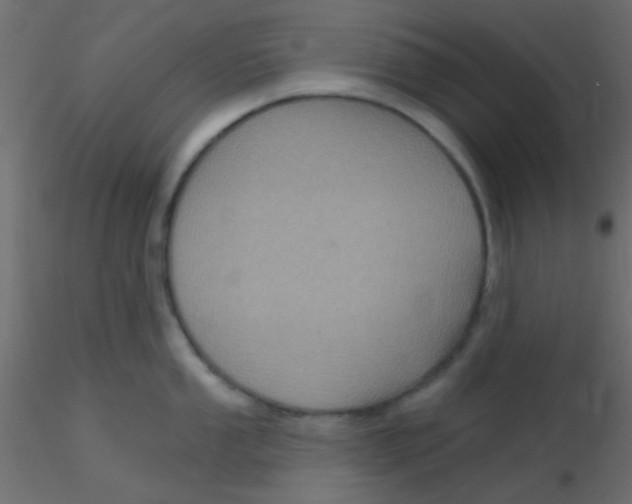 X0000116591053200912312032