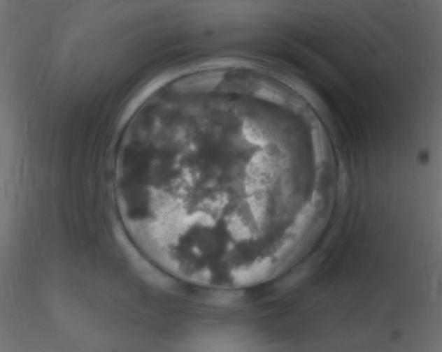 X0000116591055200912312032