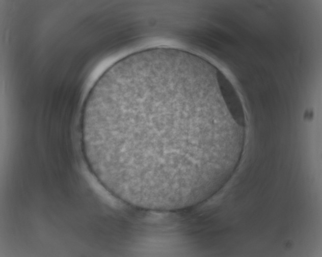 X0000116591056200912312032