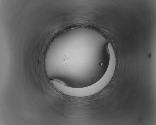 X0000116591057200912312031