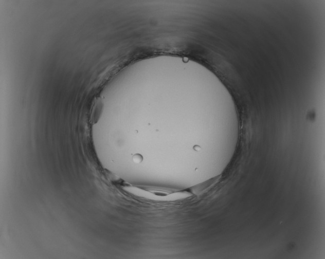 X0000116591058200912312031