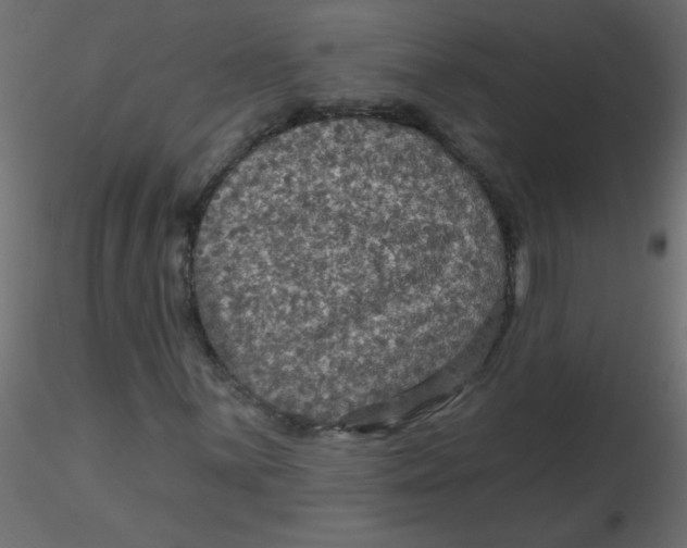 X0000116591059200912312031