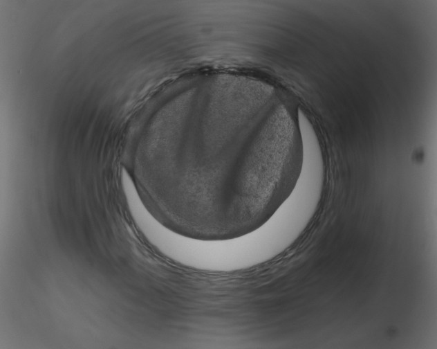 X0000116591060200912312031