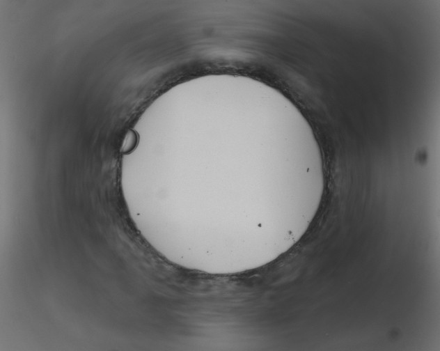 X0000116591061200912312031