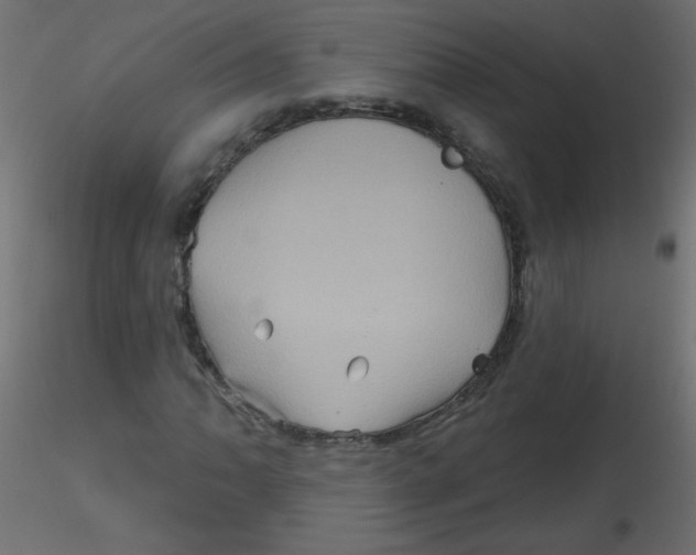 X0000116591062200912312031