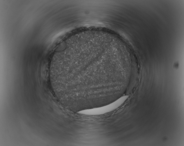 X0000116591063200912312031