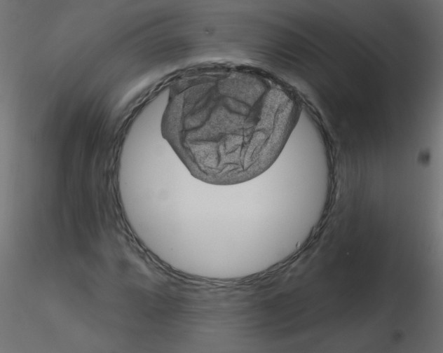 X0000116591064200912312031