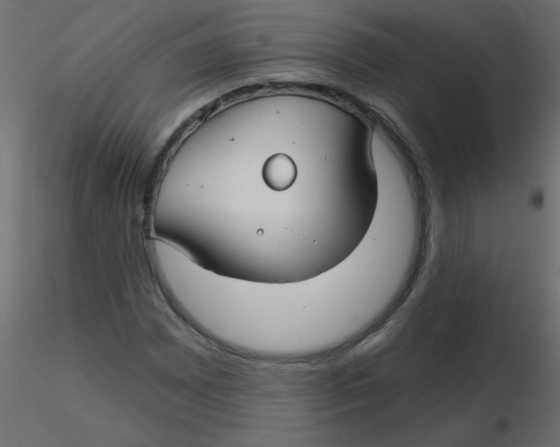 X0000116591065200912312031